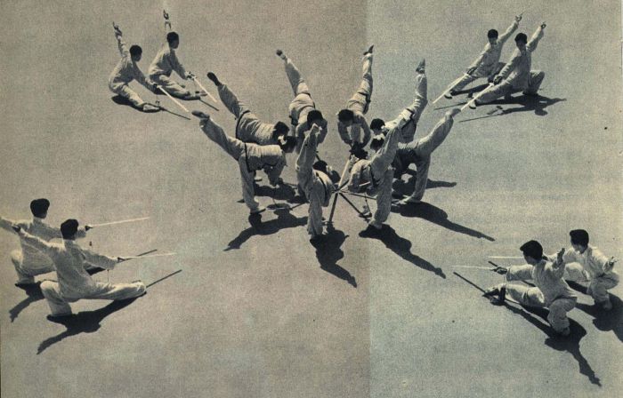 Wushu